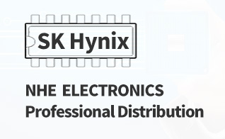 NHE  ELECTRONICS, Professional Distribution